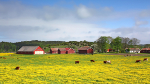 wycena gospodarstw rolnych